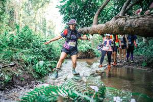 BIB: 
                            <button type="button" onclick="openModal(25477787)" class="btn btn-primary btn-sm float-right btn-popup" data-toggle="modal" data-target=".modal-high-quality">
                        <i class="fas fa-shopping-cart"></i> Add to Cart
                    </button>
                                            <button type="button" onclick="isThisMe(25477787, true)" class="btn btn-success btn-sm float-right btn-popup btn-isme hidden" data-toggle="tooltip" data-placement="bottom" title="นี่คือรูปของคุณใช่ไหม คลิกที่นี่เพื่อเอาเข้าอัลบั้ม">
                        <i class="fas fa-plus"></i> Add to album
                    </button>
                    <button type="button" onclick="isThisMe(25477787, false)" class="btn btn-warning btn-sm float-right btn-popup btn-isnotme hidden">
                        <i class="fas fa-ban"></i> Remove from album
                    </button>